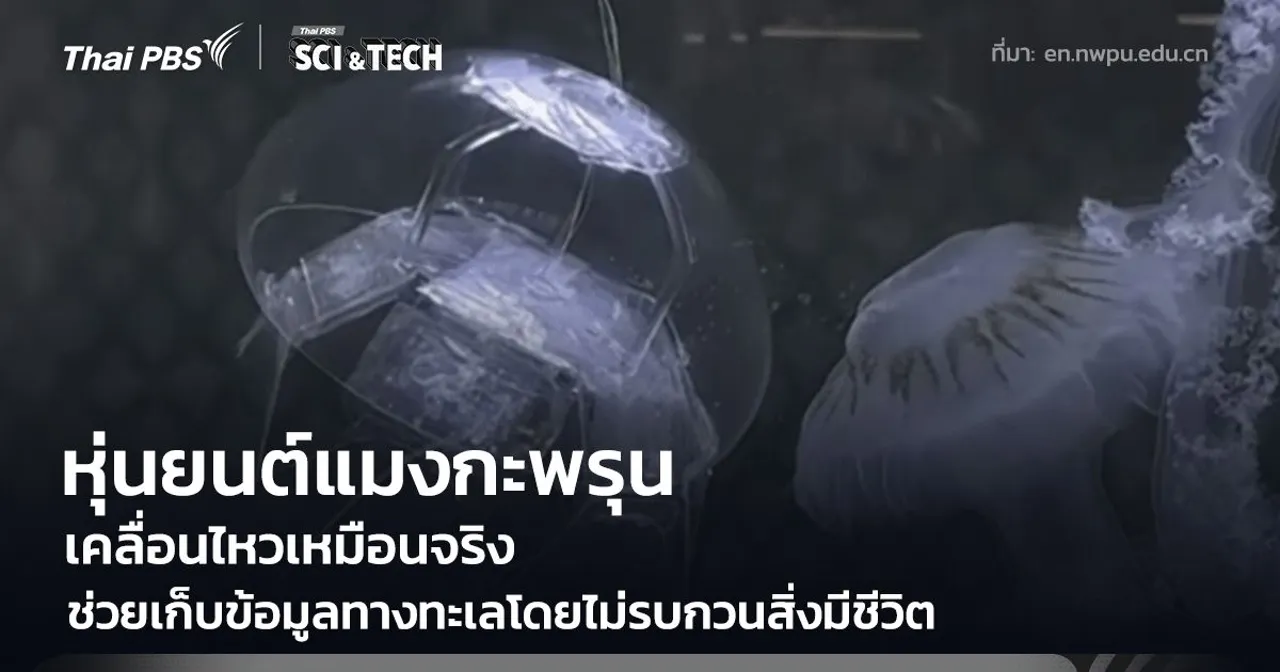 หุ่นยนต์แมงกะพรุน เคลื่อนไหวเหมือนจริง ช่วยเก็บข้อมูลทางทะเลโดยไม่รบกวนสิ่งมีชีวิต