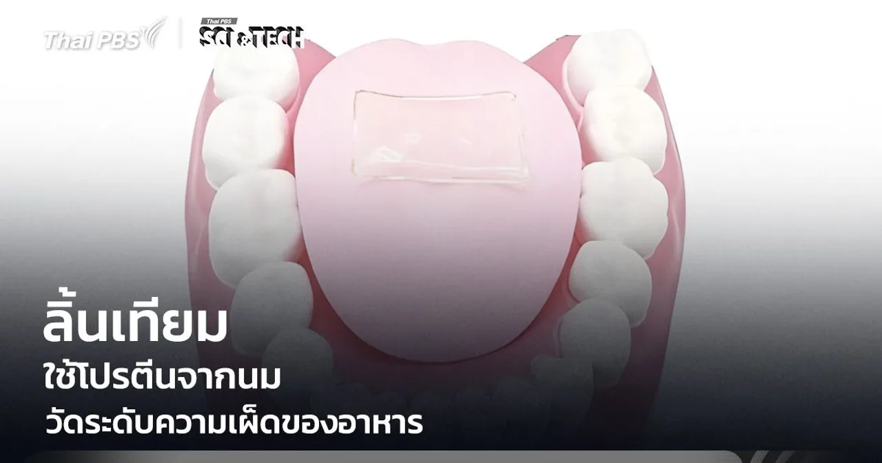 เผ็ดแค่ไหนรู้ได้ทันที! "ลิ้นเทียมจากโปรตีนนม" วัดระดับความเผ็ด ช่วยคุมรสชาติอาหาร
