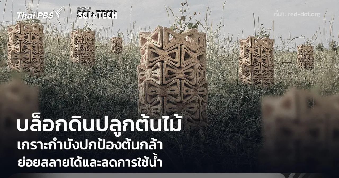 บล็อกดินปลูกต้นไม้ เกราะกำบังปกป้องต้นกล้า ย่อยสลายได้และลดการใช้น้ำ