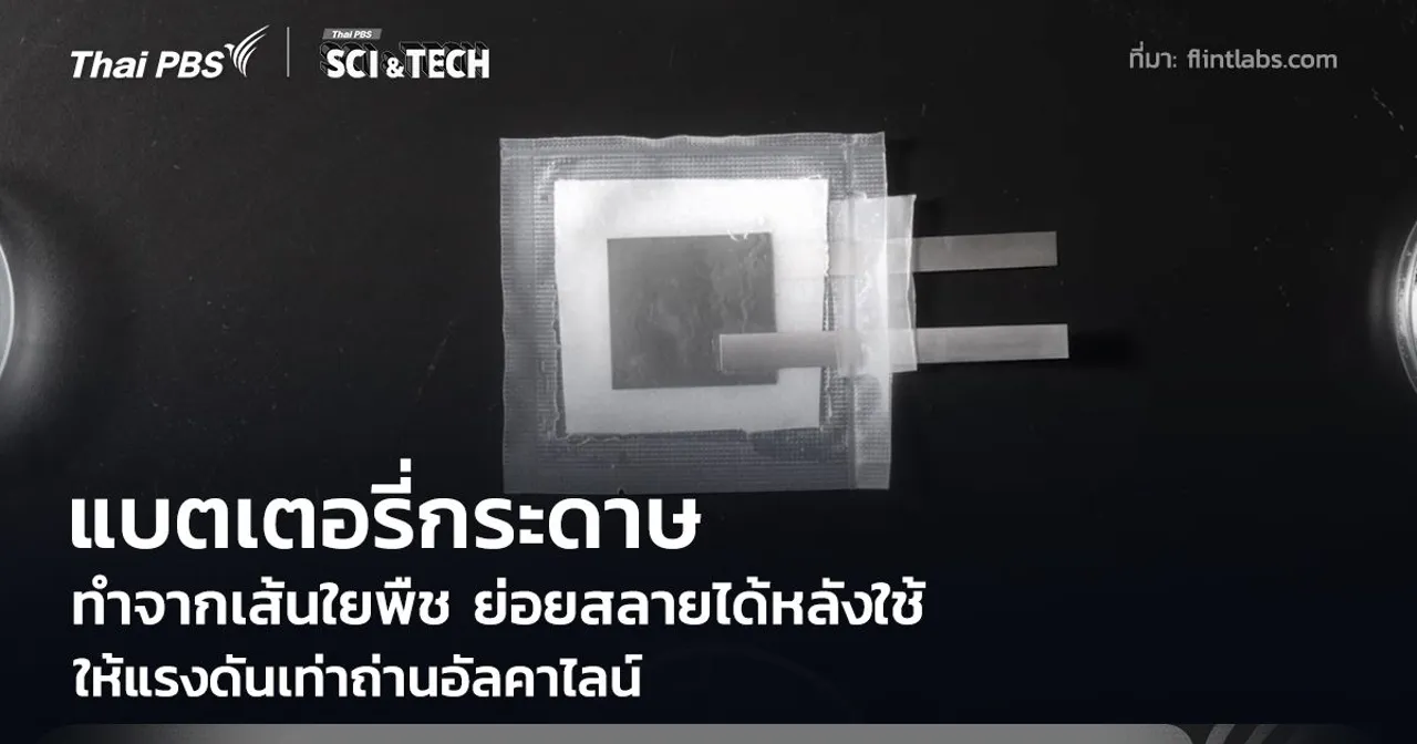 ลาก่อนถ่าน AA! พบกับ "แบตเตอรี่กระดาษ" ทำจากพืช แรงดันเท่าอัลคาไลน์ คาดพร้อมใช้ปลายปี 2026