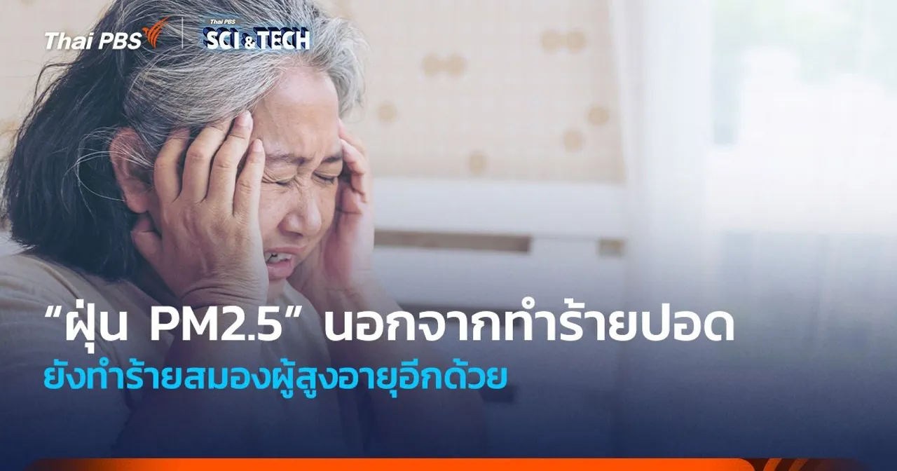 นอกจากทำร้ายปอด “ฝุ่น PM2.5” ยังทำร้ายสมองผู้สูงอายุอีกด้วย