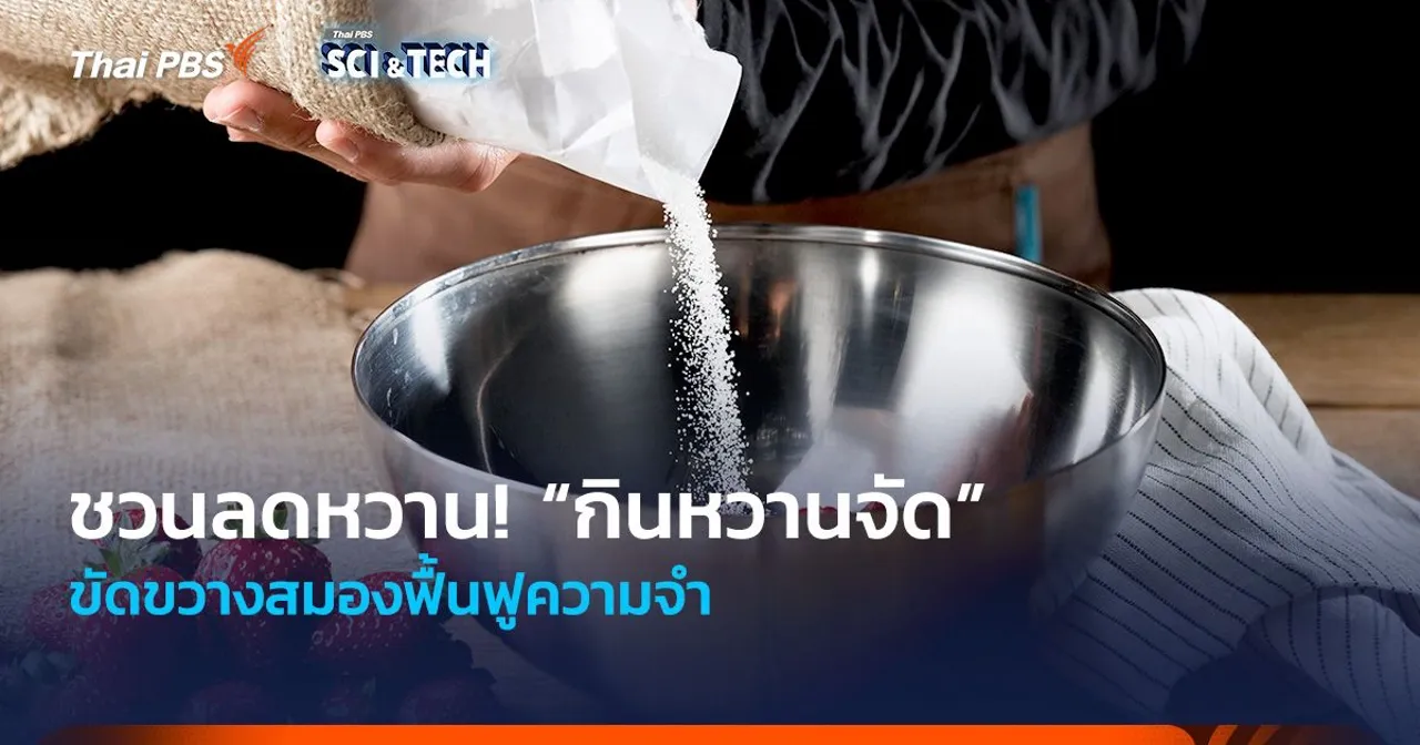 ชวนลดหวาน! “กินหวานจัด” ขัดขวางสมองฟื้นฟูความจำ