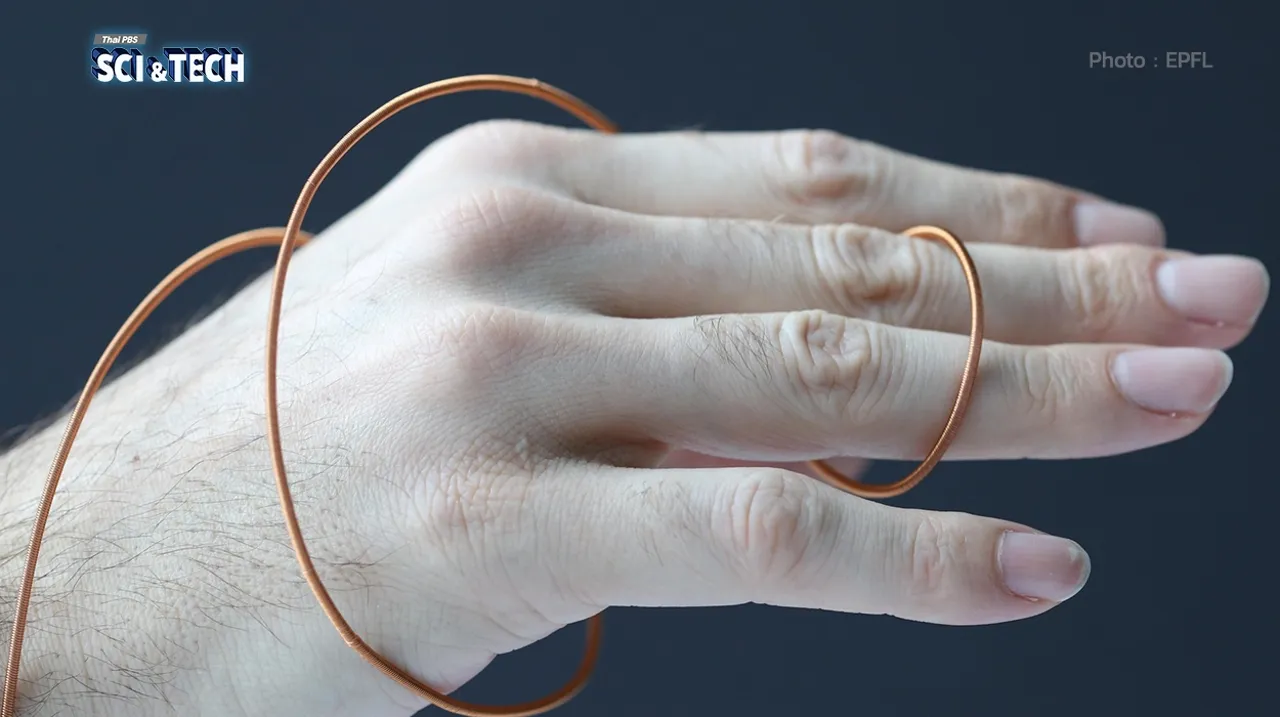 มอเตอร์เส้นด้าย! เลียนแบบกล้ามเนื้อ ต่อยอดหุ่นยนต์และอุปกรณ์ช่วยเคลื่อนไหว