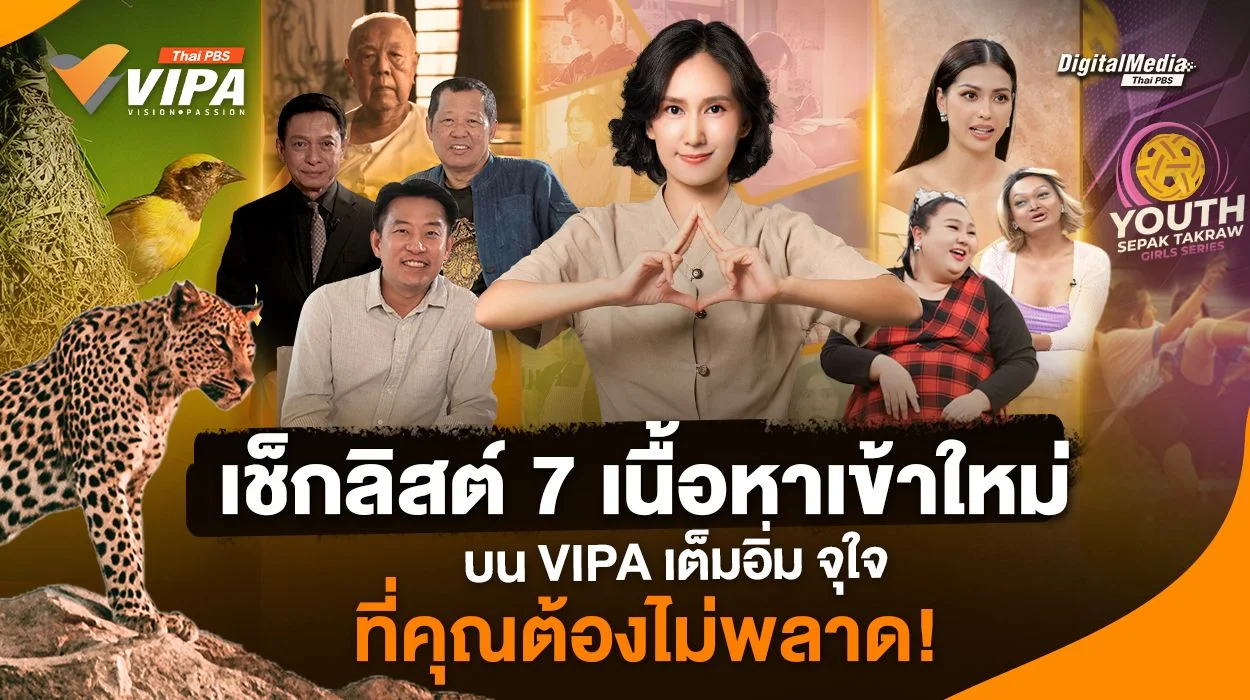 เช็กลิสต์ 7 เนื้อหาเข้าใหม่ บน VIPA เต็มอิ่ม จุใจ ที่คุณต้องไม่พลาด!