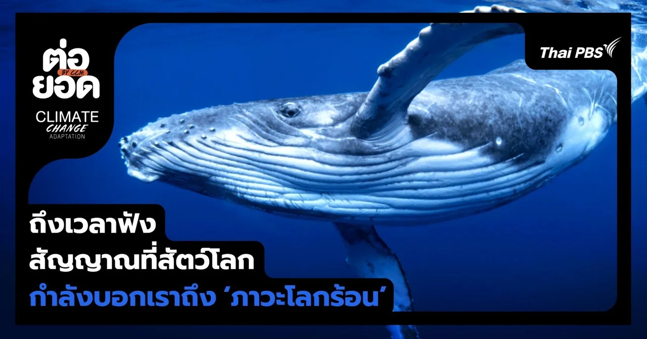 ถึงเวลาฟัง! สัญญาณที่สัตว์โลกกำลังบอกเราถึง ‘ภาวะโลกร้อน’