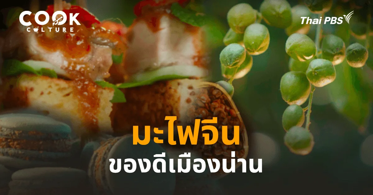 ชวนกิน ชวนเที่ยว น่านเมืองเท่…กับ “มะไฟจีน” ของดีที่คนยังไม่ค่อยรู้!