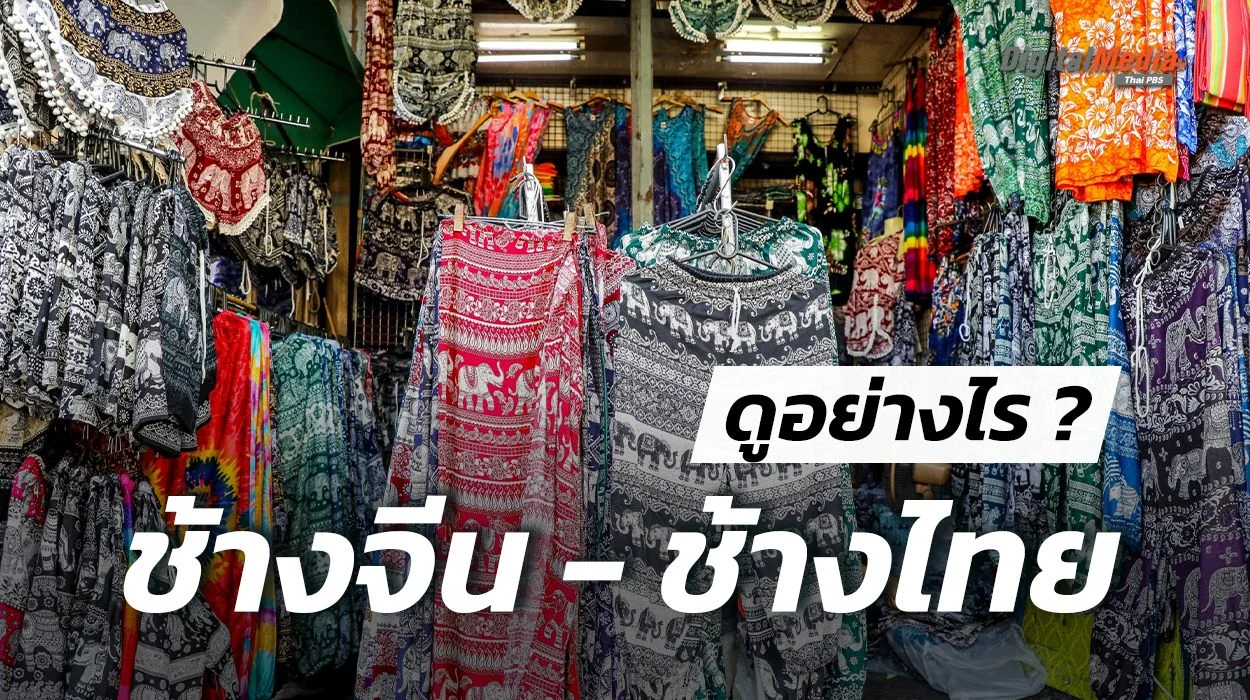 กางเกงช้างไทย กางเกงช้างจีน แตกต่างกันอย่างไร