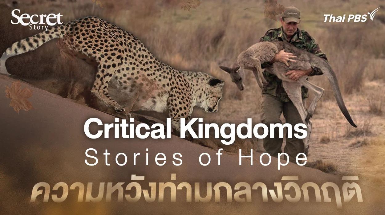 Secret Story | Critical Kingdoms: Stories of Hope ความหวังท่ามกลางวิกฤติ