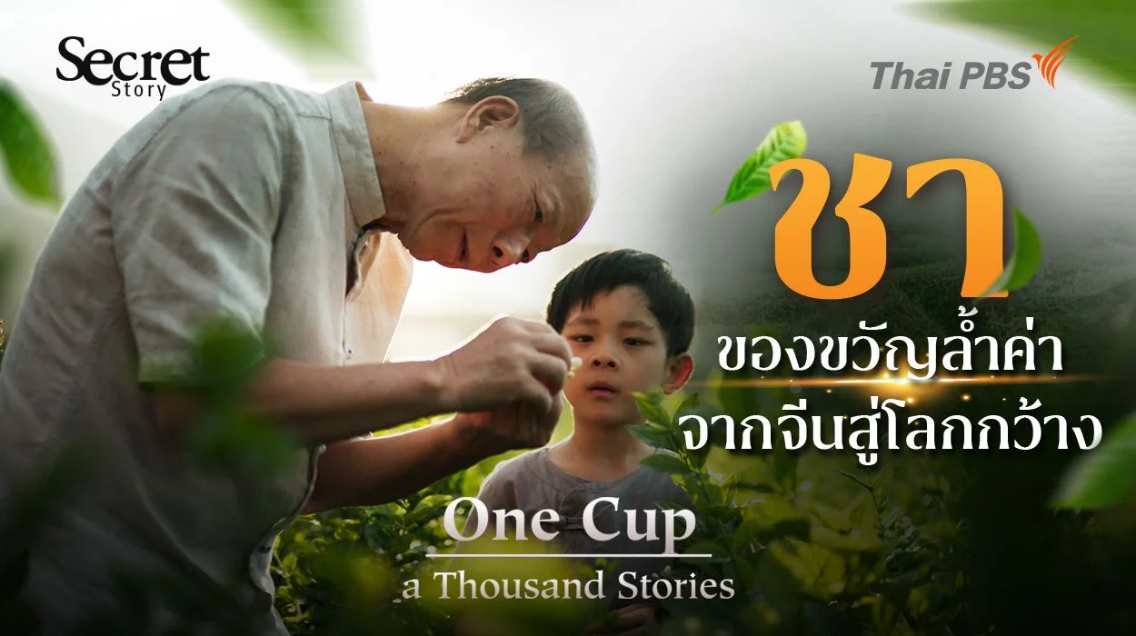 Secret Story | One Cup, A Thousand Stories 'ชา' ของขวัญล้ำค่าจากจีนสู่โลกกว้าง