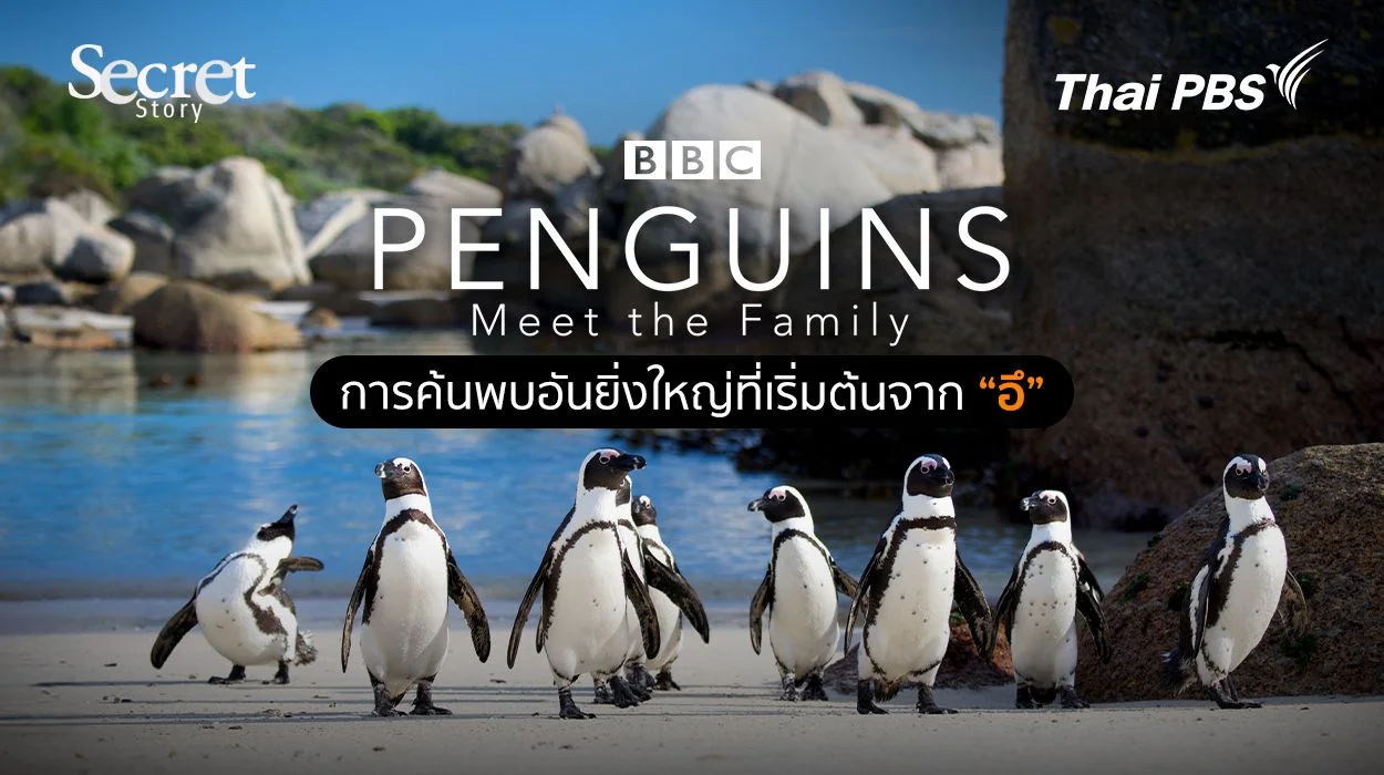 Secret Story | Penguins: Meet The Family การค้นพบอันยิ่งใหญ่ที่เริ่มต้นจาก “อึ”