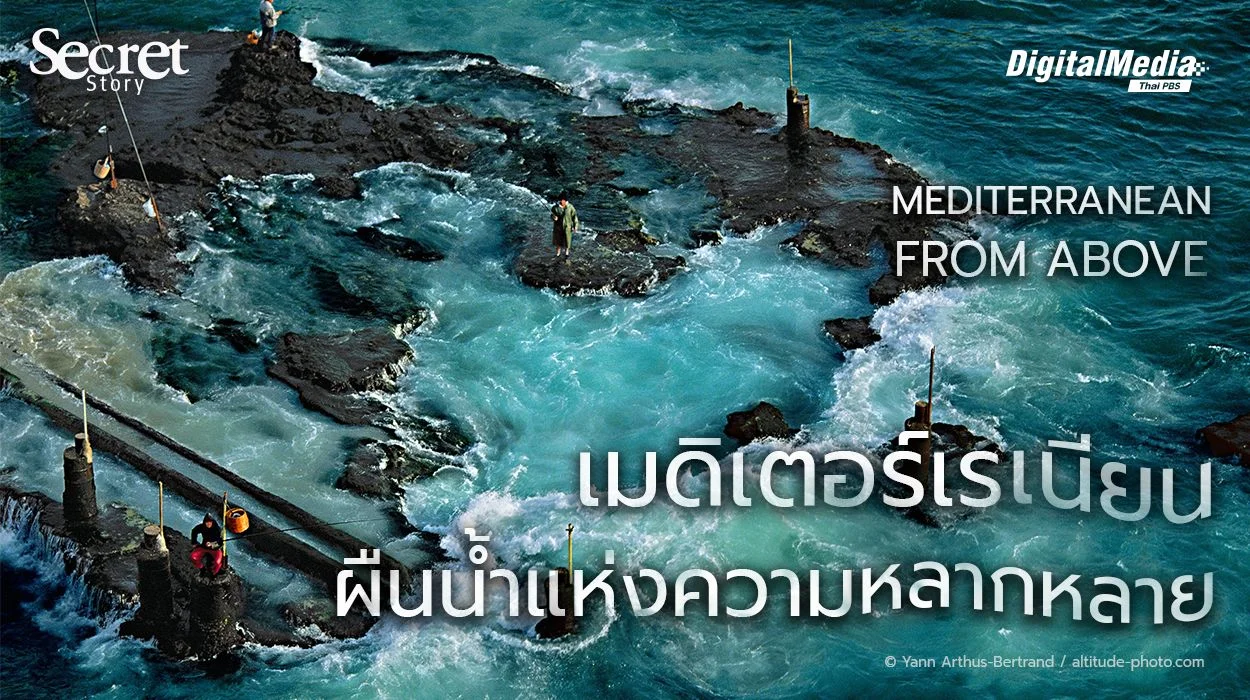 Secret Story | Mediterranean From Above เมดิเตอร์เรเนียน ผืนน้ำแห่งความหลากหลาย