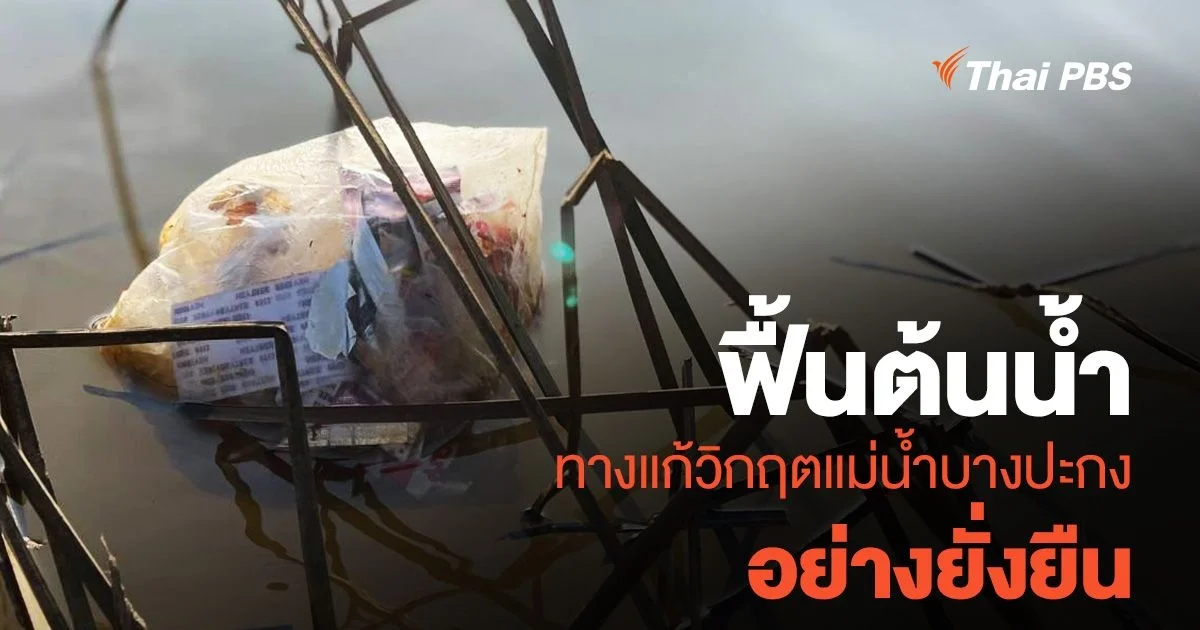 ฟื้นต้นน้ำ ทางแก้วิกฤตแม่น้ำบางปะกง อย่างยั่งยืน