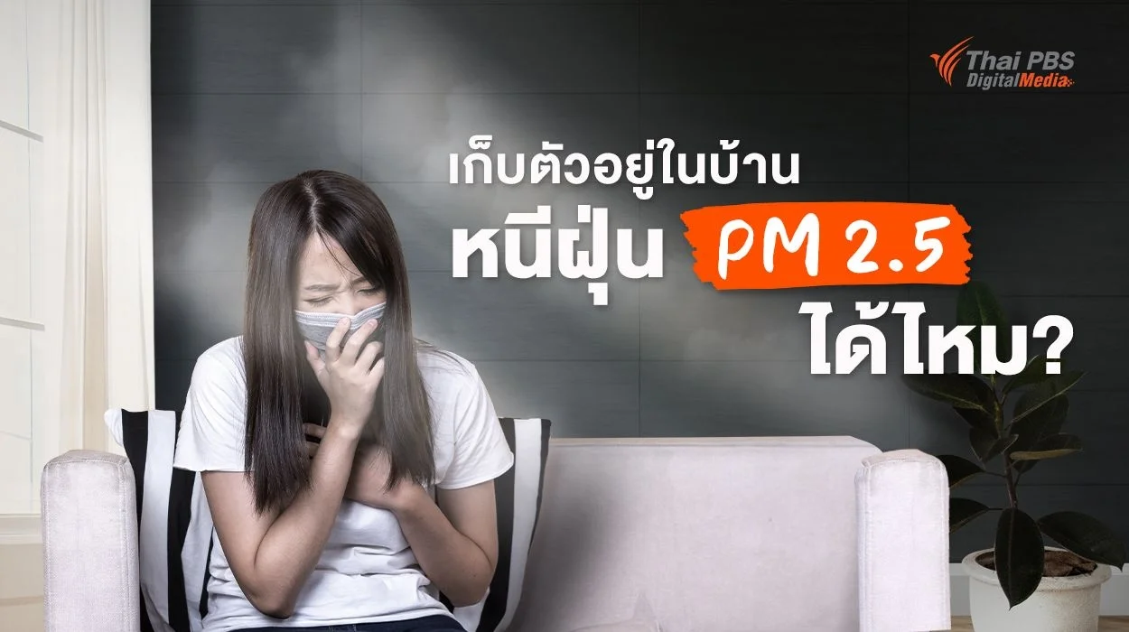 เก็บตัวอยู่ในบ้านหนีฝุ่น PM 2.5 ได้ไหม? แนะเคล็ดลับจัดการ “ฝุ่นในบ้าน” อยู่หมัด