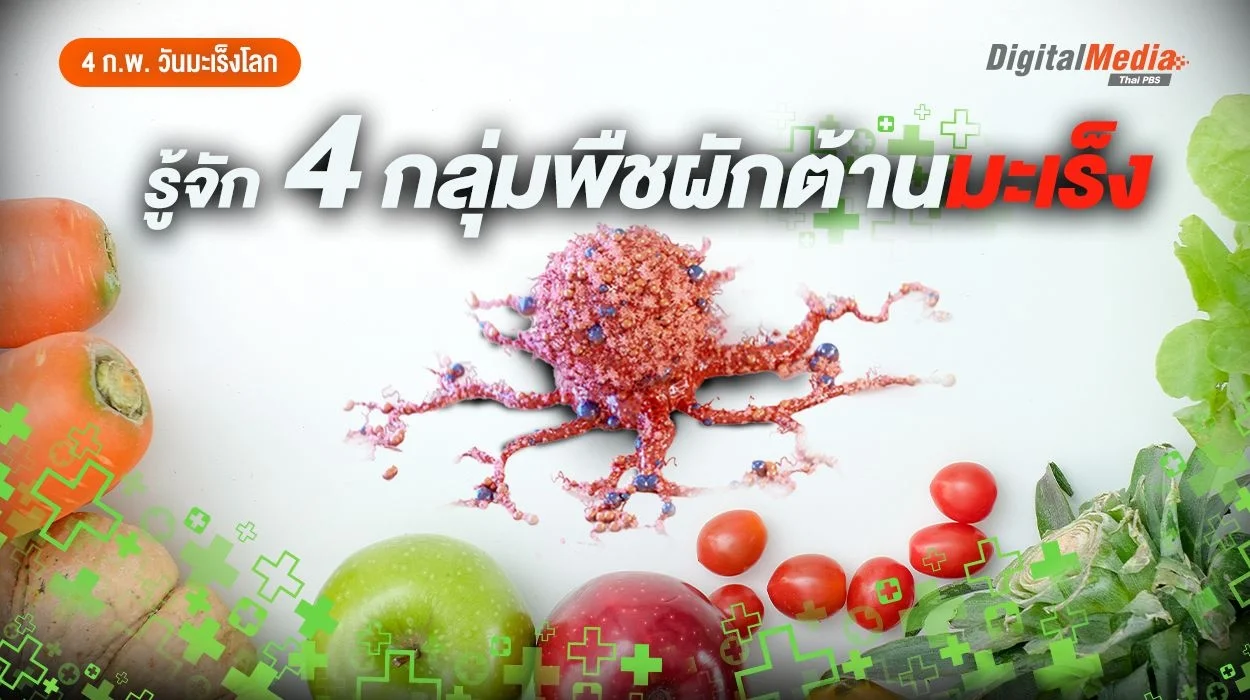 รู้จัก 4 กลุ่มพืชผักต้านมะเร็ง มีอะไรบ้างมาดูกัน