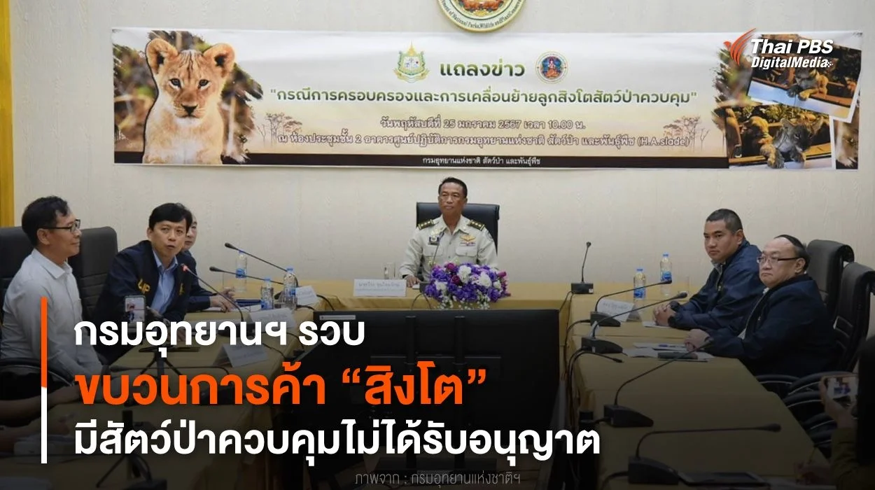 กรมอุทยานฯ รวบขบวนการค้า “สิงโต” มีสัตว์ป่าควบคุมไม่ได้รับอนุญาต