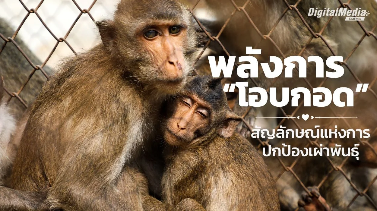 พลังการ "โอบกอด" สัญลักษณ์แห่งการปกป้องเผ่าพันธุ์