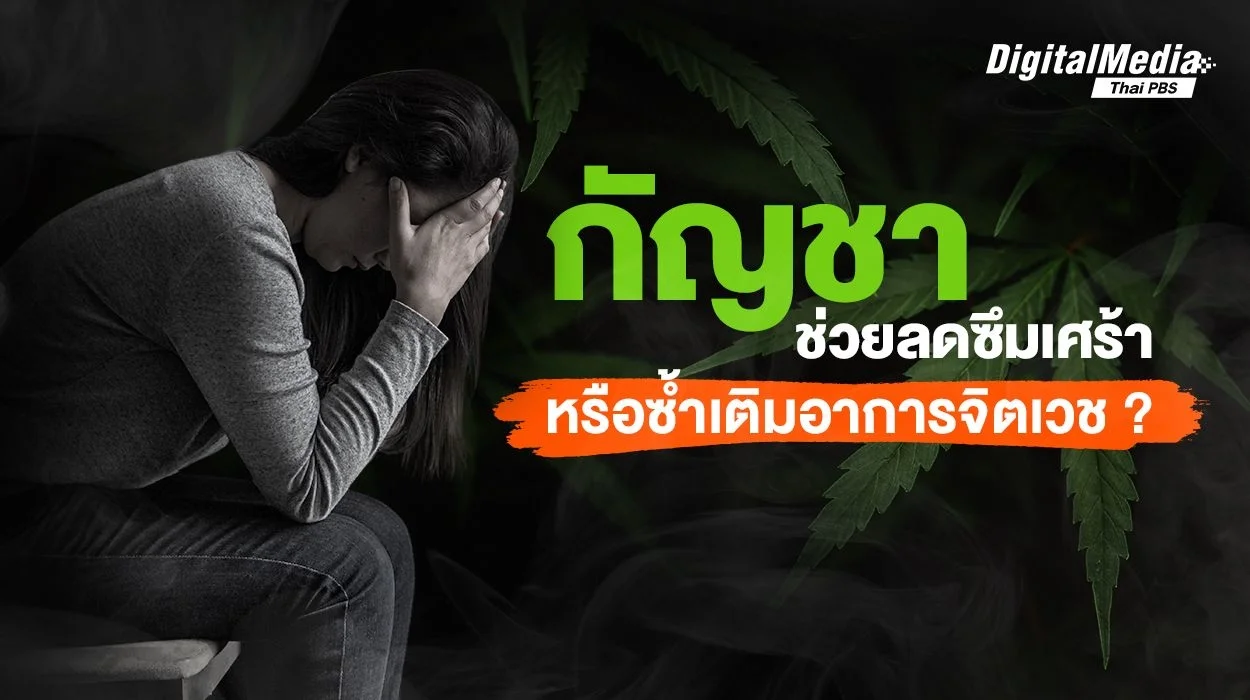 เปิดคุณสมบัติ "กัญชา" กับการรักษาโรคทางจิตเวช