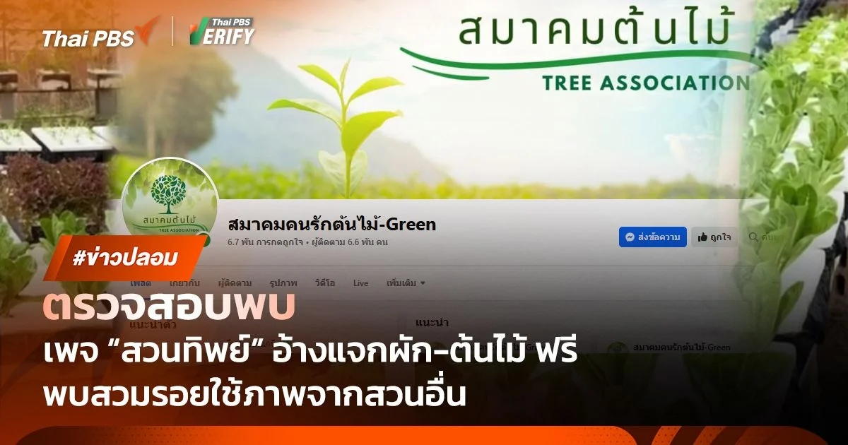 ตรวจสอบพบ : เพจปลอมยิงโฆษณาอ้างแจก "ผัก-ต้นไม้" ฟรี พบคนหลงดูกว่า 6 ล้านครั้ง