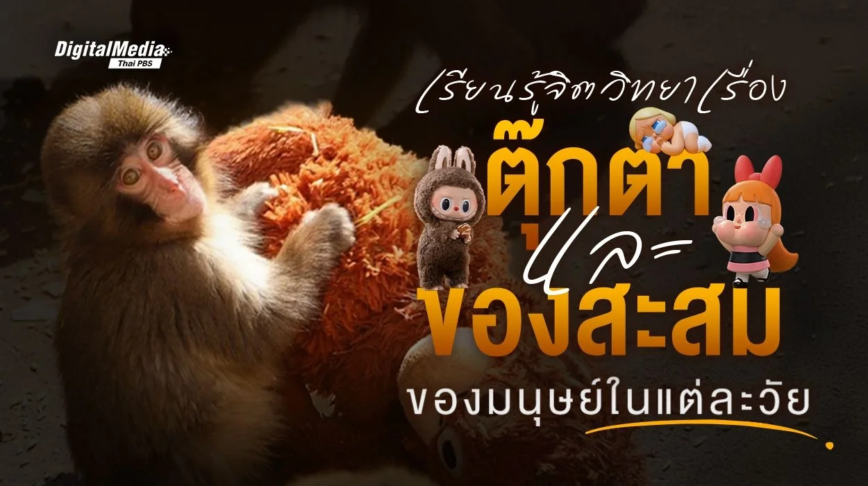 เรียนรู้จิตวิทยาเรื่อง “ตุ๊กตา” และ “ของสะสม” ของมนุษย์ในแต่ละวัย