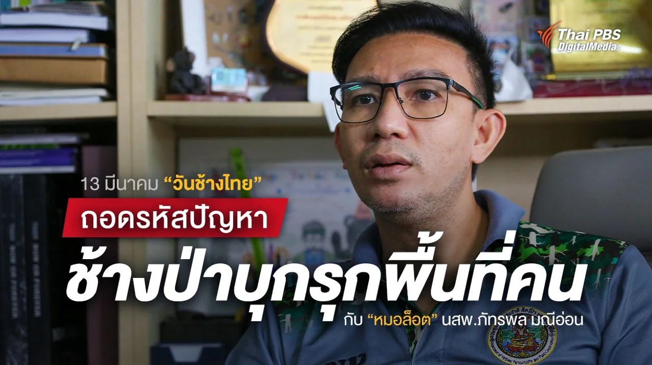 คุยกับ “หมอล็อต” นสพ.ภัทรพล มณีอ่อน แก้ปัญหาช้างป่า