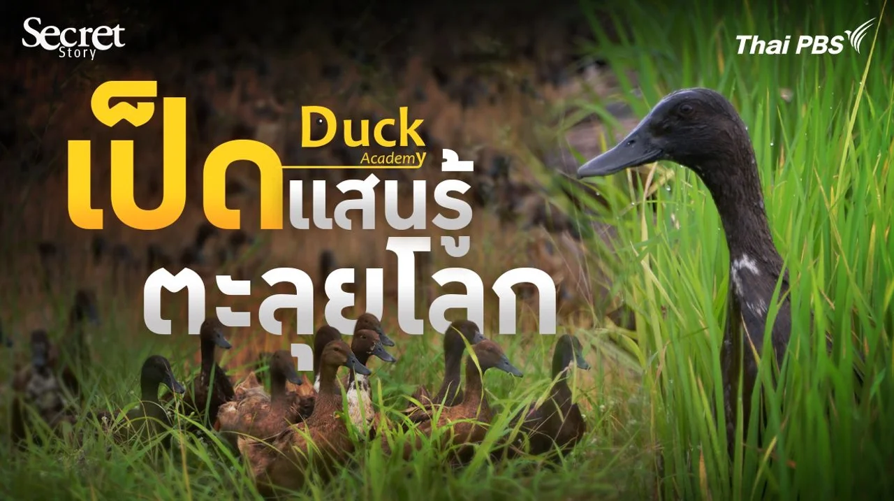 Secret Story | เป็ดแสนรู้ตะลุยโลก