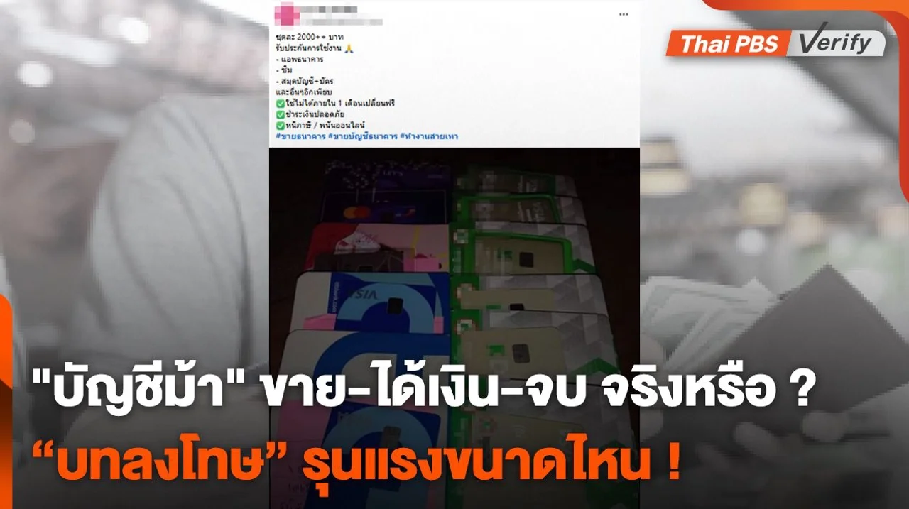 "บัญชีม้า" ขาย-ได้เงิน-จบ จริงหรือ ?