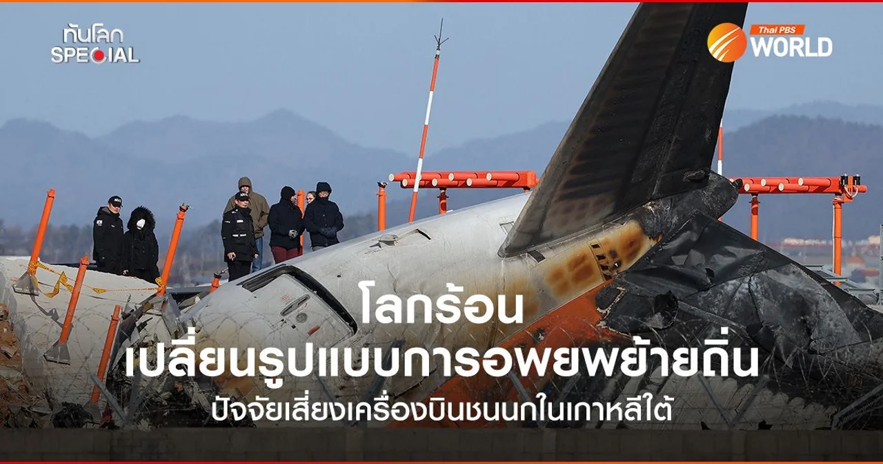 โลกร้อน เปลี่ยนรูปแบบการอพยพย้ายถิ่น ปัจจัยเสี่ยงเครื่องบินชนนกในเกาหลีใต้