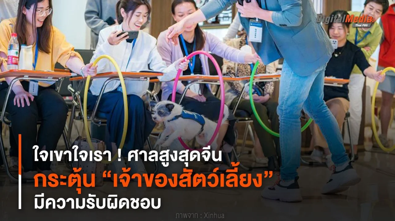 ใจเขาใจเรา ! ศาลสูงสุดจีนกระตุ้น “เจ้าของสัตว์เลี้ยง” มีความรับผิดชอบ