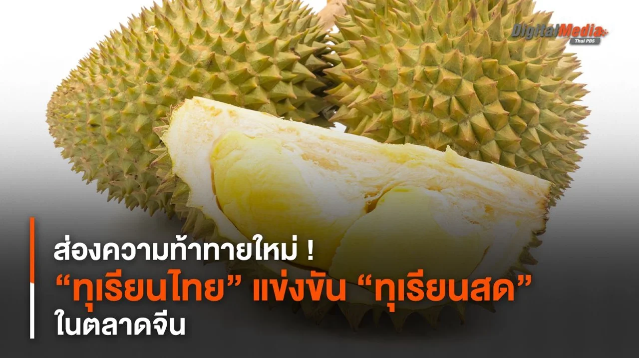 ส่องความท้าทายใหม่ ! “ทุเรียนไทย” กับการแข่งขัน “ทุเรียนสด” ในตลาดจีน