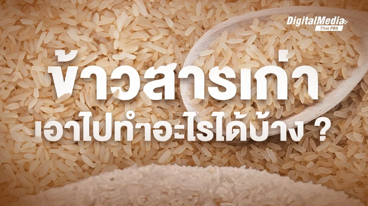 มากกว่าการกิน! เปิดวิธีนำ "ข้าวสาร" ไปใช้ประโยชน์หลากหลายทาง