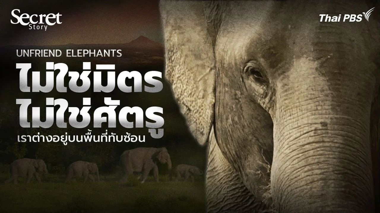 Secret Story | Unfriend Elephants ไม่ใช่มิตร ไม่ใช่ศัตรู เราต่างอยู่บนพื้นที่ทับซ้อน