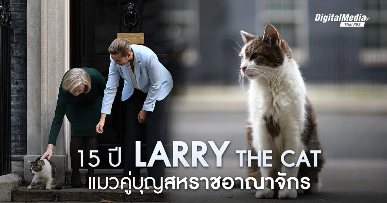 15 ปี ‘Larry the cat’ แมวคู่บุญบ้านผู้นำสหราชอาณาจักร