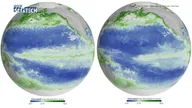 เอลนีโญปีนี้รุนแรงมาก! ทำสีมหาสมุทรเปลี่ยนไป สร้างผลกระทบใหญ่เป็นห่วงโซ่