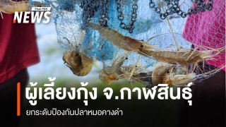 ผู้เลี้ยงกุ้ง จ.กาฬสินธุ์ ยกระดับป้องกันปลาหมอคางดำ