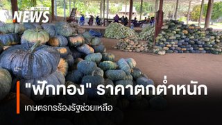 "ฟักทอง" ราคาตกต่ำอย่างหนัก เกษตรกรร้องรัฐช่วยเหลือ