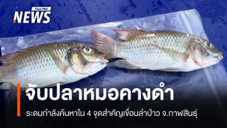 ระดมกำลังค้นหา "ปลาหมอคางดำ" 4 จุดสำคัญในเขื่อนลำป่าว