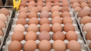 ค้าภายในคุมไข่ไก่ ยันไม่ขาดตลาด  สั่งห้างเพิ่มสต๊อก-ผู้ส่งออกลดส่งออก