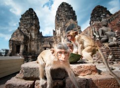 เปลี่ยนสมรภูมิรบ “เสฏฐวุฒิ” จากบ้านสร้าง สู่ ลำสนธิ “เมืองลพบุรี”
