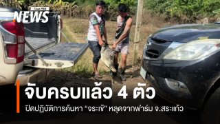 จับครบแล้ว 4 ตัว "จระเข้" หลุดจากฟาร์มสระแก้ว