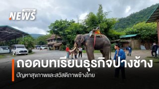 เมื่อเทรนด์ท่องเที่ยวเปลี่ยนแต่สวัสดิภาพช้างต้องมาก่อน