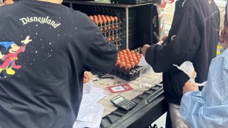 "ศุภจี" เร่งเติมผัก-ไข่พื้นที่น้ำท่วม ขอผู้ผลิตตรึงไข่ไก่หน้าฟาร์ม 4 บาท
