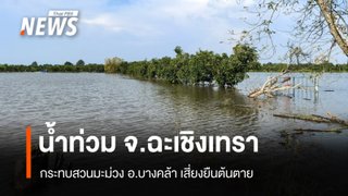น้ำท่วมแปดริ้วยืดเยื้อ ชาวสวนหวั่น "มะม่วง" เสี่ยงยืนต้นตาย