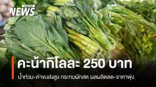 น้ำท่วม-ขนส่ง กระทบผักสด ผลผลิตลด-ราคาพุ่ง คะน้าแตะ 250 บาท/กก.
