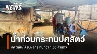 น้ำท่วมกระทบปศุสัตว์ 30 จังหวัด เกษตรกรประสบภัยกว่า 2.7 หมื่นราย เร่งสำรวจความเสียหาย-เยียวยา