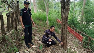 กรมป่าไม้ เร่งตรวจสอบอุบัติเหตุกิจกรรมโรยตัว ป่านันทนาการดงรอยเท้าอาร์โคซอร์