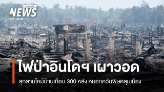 ไฟป่าอินโดฯ ลามหนักเผาบ้านวอด 300 หลัง หมอกควันพิษคลุมเมือง