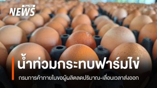กรมการค้าภายในแก้สถานการณ์ไข่ไก่ ขอให้ชะลอการส่งออกไปก่อน หลังฟาร์มบางแห่งถูกน้ำท่วม 