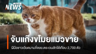 ตำรวจเวียดนามจับกุมแก๊งลักแมวกว่า 2,700 ตัว นำไปขายเป็นอาหาร