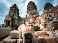เปลี่ยนสมรภูมิรบ “เสฏฐวุฒิ” จากบ้านสร้าง สู่ ลำสนธิ “เมืองลพบุรี”