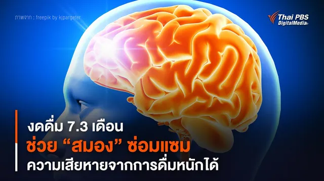 งดดื่ม 7.3 เดือน ช่วย “สมอง” ซ่อมแซมความเสียหายจากการดื่มหนักได้